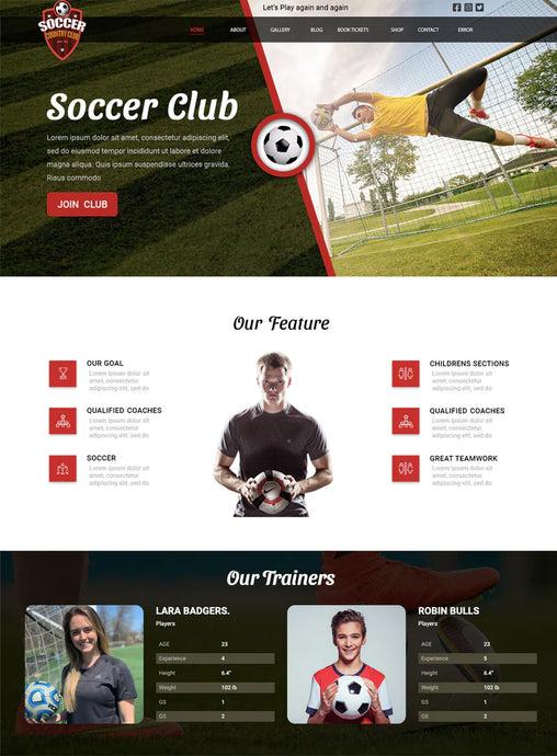 Download Multiple Purpose Soccer Club WordPress Theme