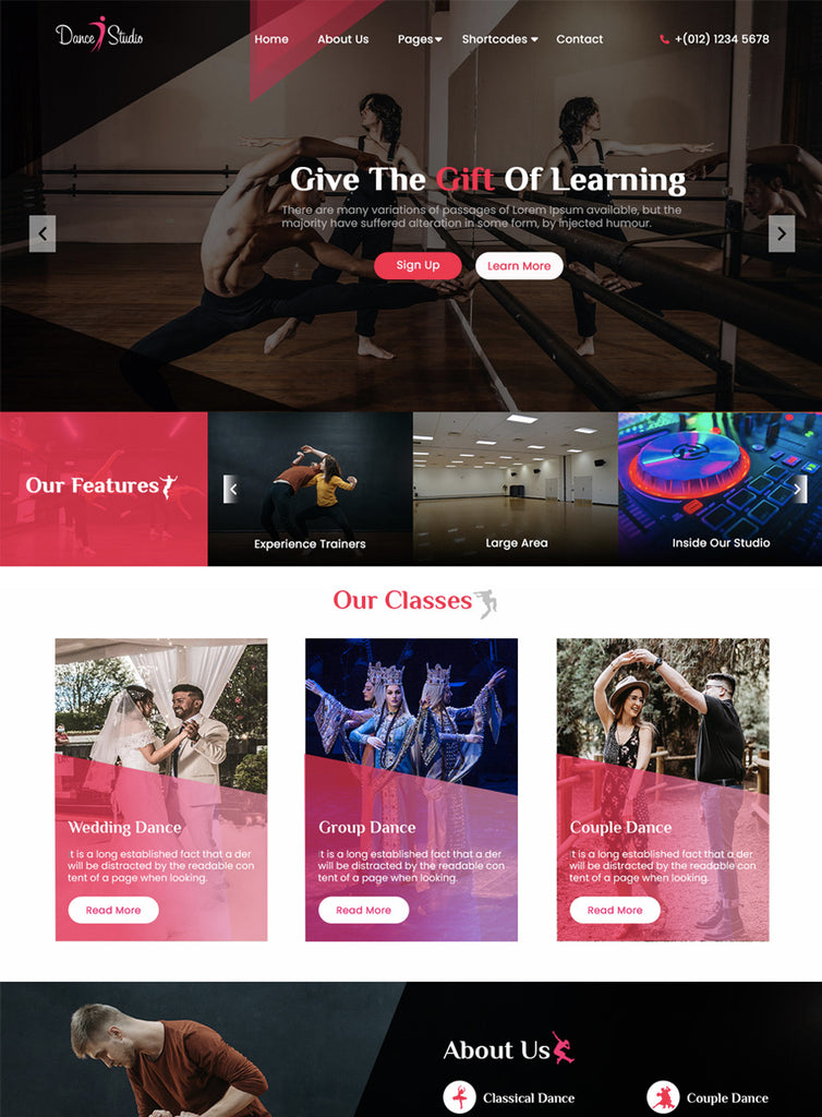 Dance Master Pro