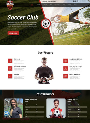 FREE Soccer Club WP Theme